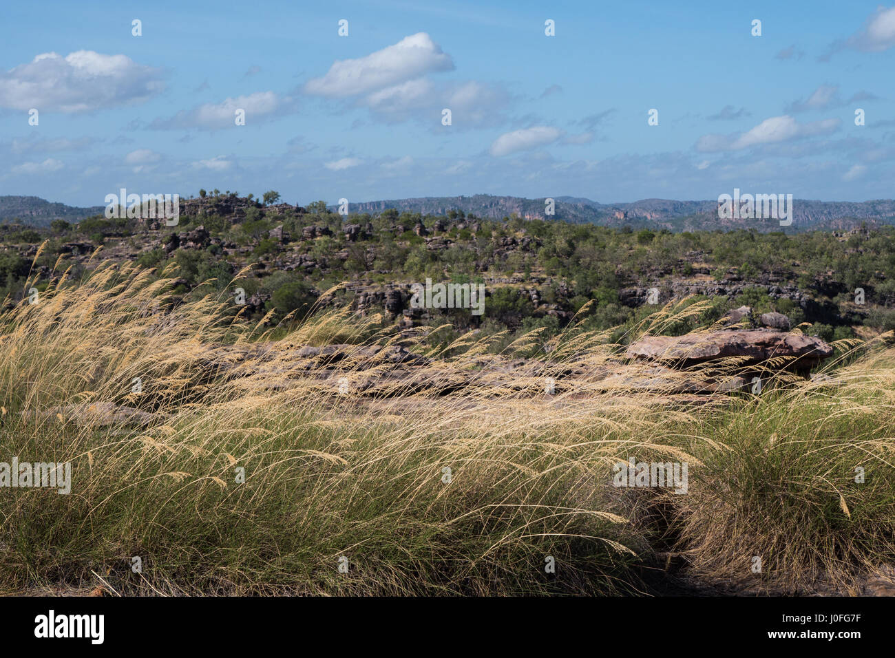 Kakadu National Park Blick über Tal Stockfoto