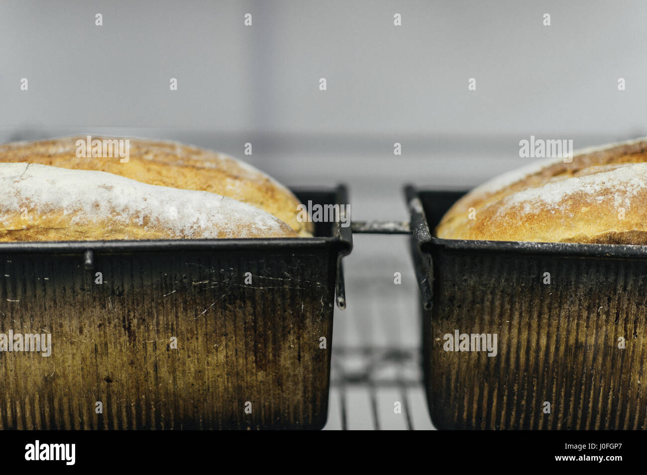 Zwei frisch gebackene Brote in Brot Pfannen Stockfoto