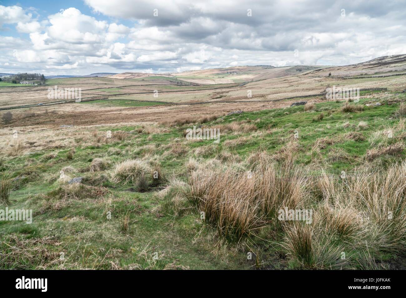 Padley Schlucht und Schauspielerei Moor, Peak District, Sheffield. Stockfoto