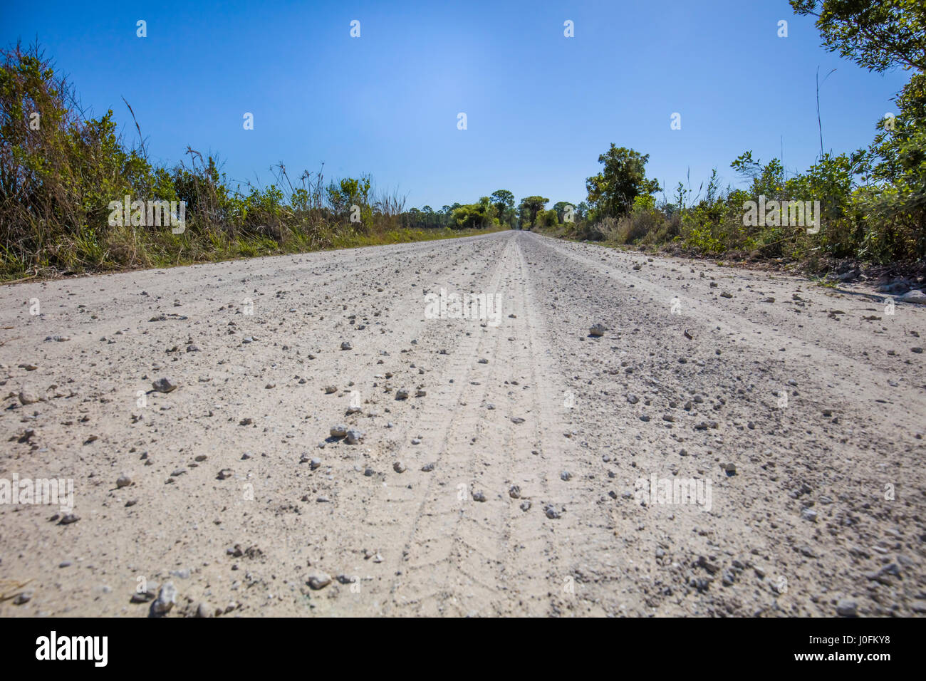 Niedrige Sicht auf Straße in Babcock/Webb Wildlife Management Area in Punta Gorda in Südwest Florida Stockfoto