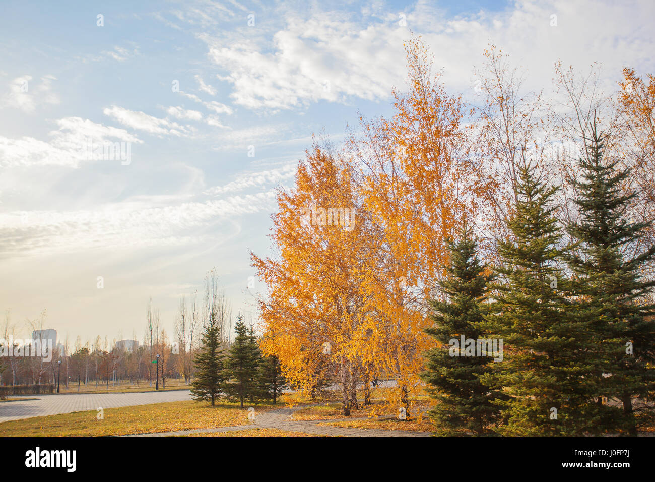 Herbst in Astana. Orange, gelbe und grüne Blätter an Bäumen und Rasen sind übersät mit Laub Stockfoto