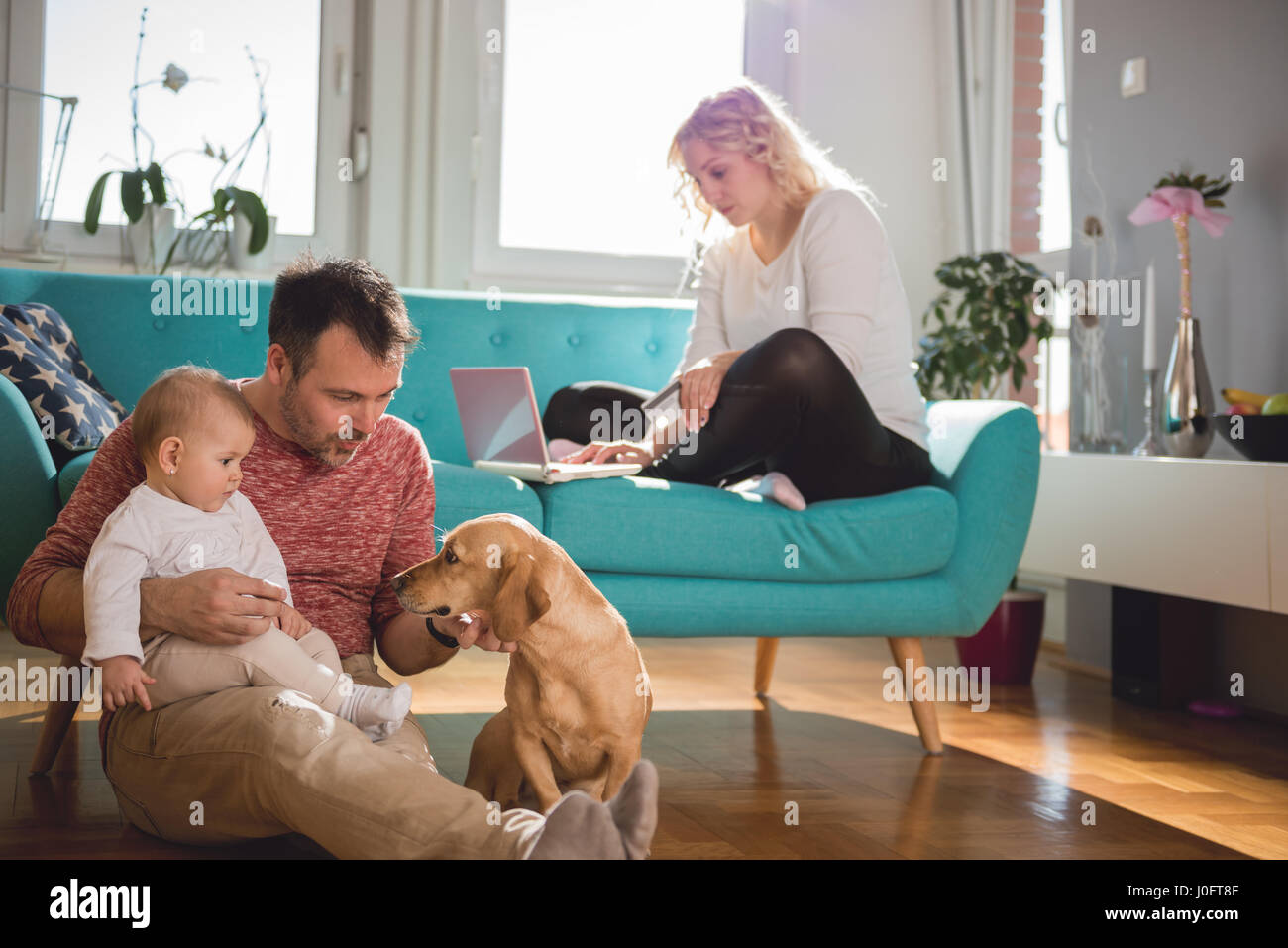 Vater sitzt auf dem Boden und mit Baby im Arm spielen mit Hund während Frau auf Sofa sitzen und tun, Online-shopping mit Kreditkarte Stockfoto