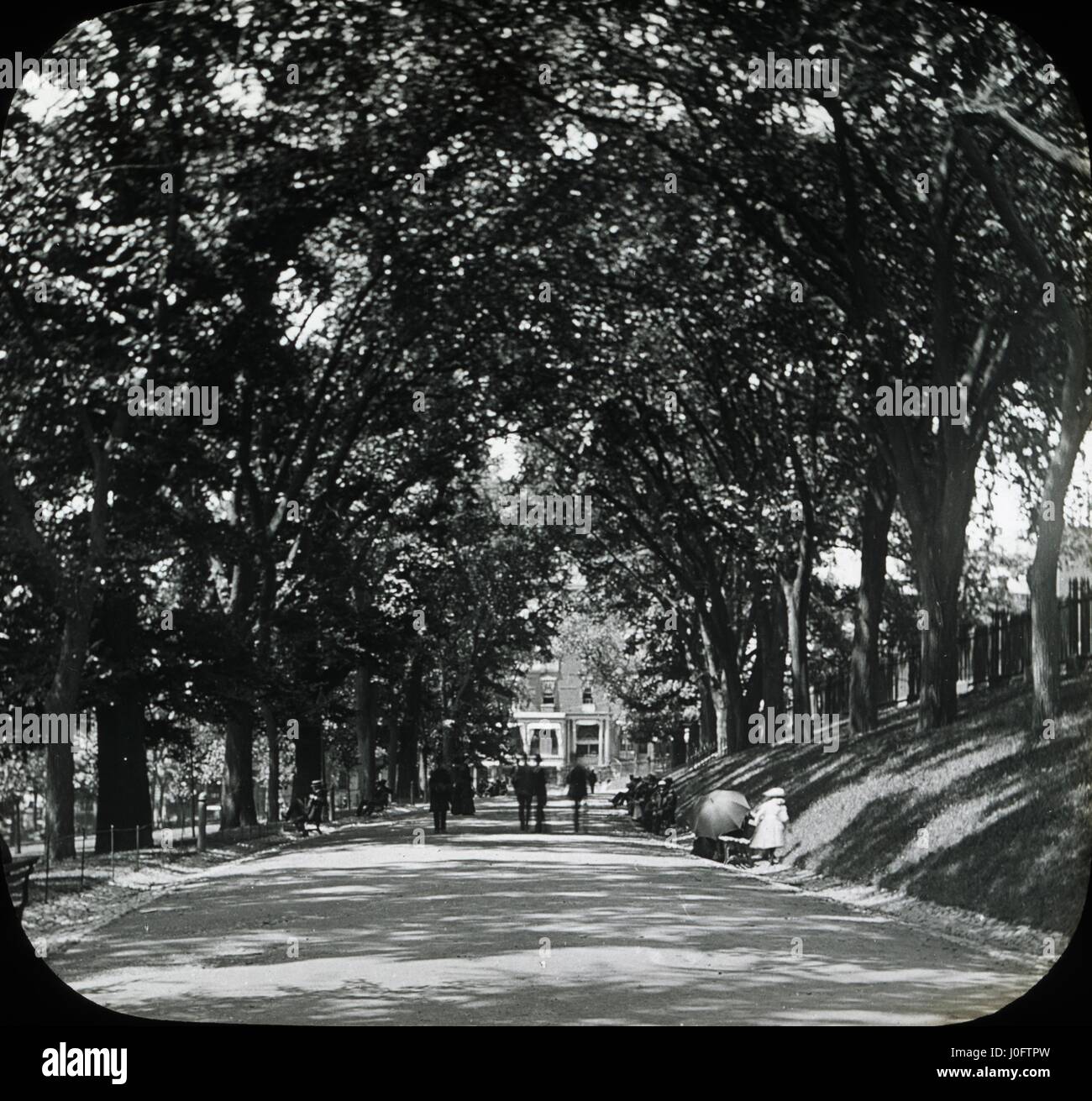 Menschen auf einer von Bäumen gesäumten Allee, an deren, die Ende ein Haus sitzt Stockfoto