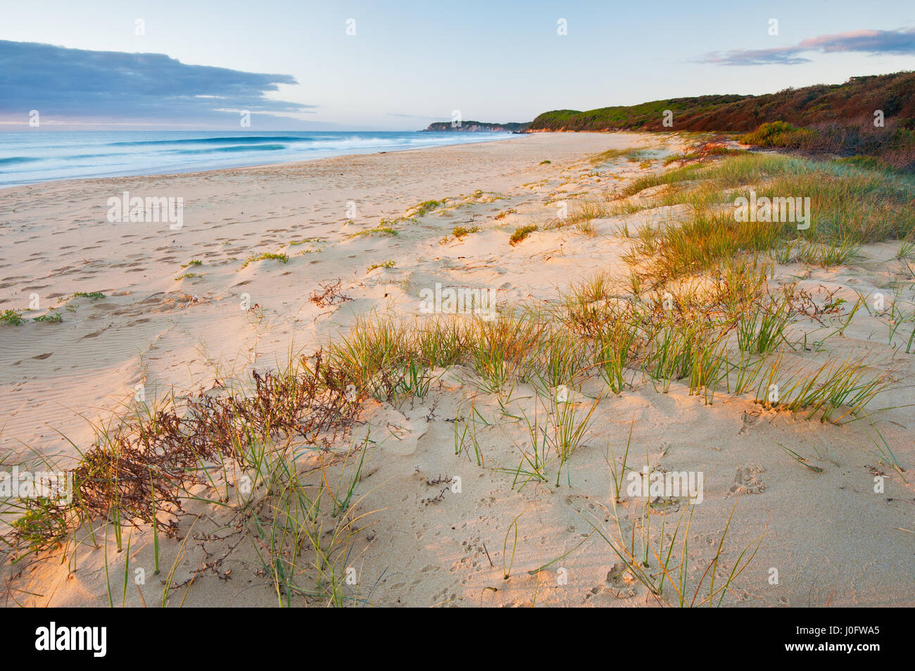 Ersten Morgenlicht an Gillards Strand im Mimosa Rocks National Park. Stockfoto