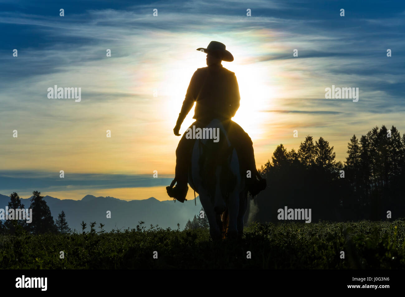 Cowboy Reiten auf Grünland mit Bergen im Hintergrund, am frühen Morgen, British Columbia, Kanada Stockfoto
