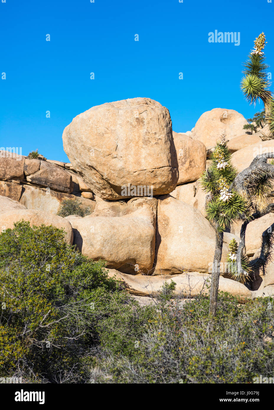 Felsformationen auf dem Rundweg Barker Dam. Joshua Tree Nationalpark, Kalifornien, USA. Stockfoto