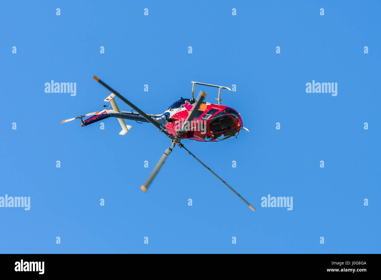 Rot Hubschrauber in der Luft Vorderansicht, in Richtung Betrachter auf einfachen Hintergrund Durchführung Kunstflug Manöver, Flying Bulls aerobatic Display Team Stockfoto