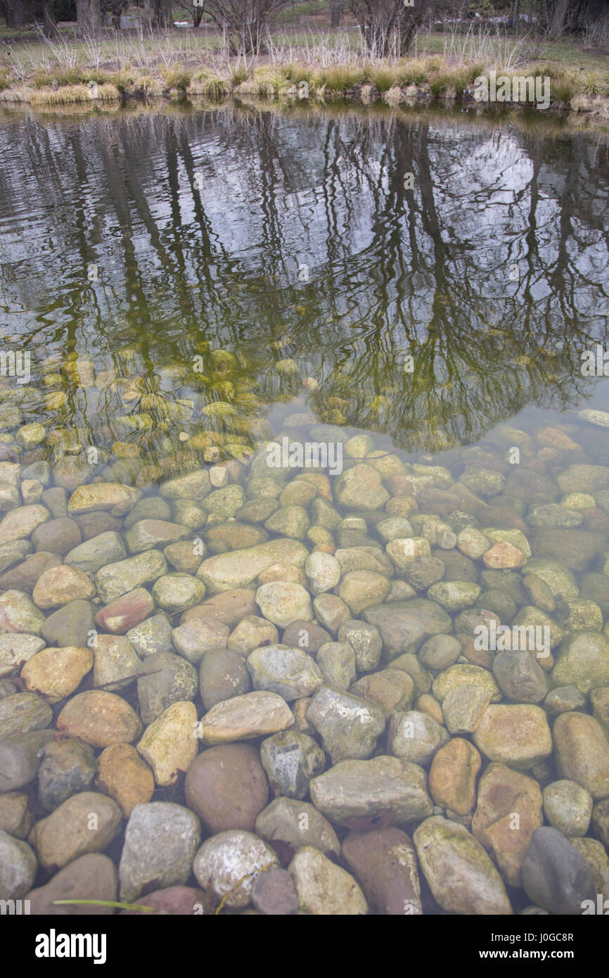 Farbsteine in den Teich auf den Wassergarten im Brooklyn Botanic Garden in Brooklyn, New York. Stockfoto