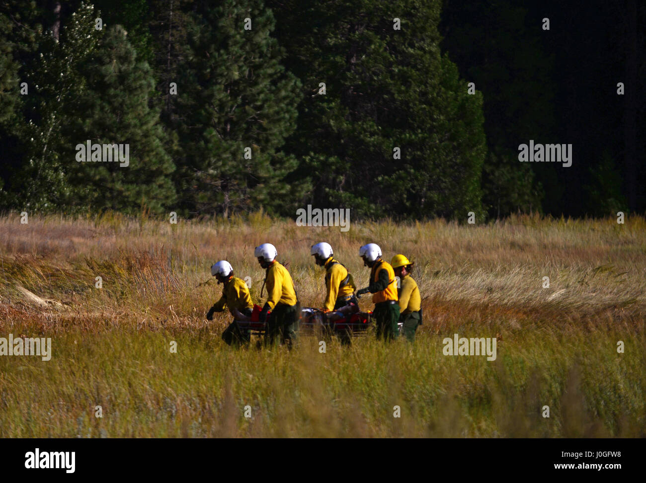 Rettungsaktion für einen gefallenen Kletterer im Yosemite, California, United States Stockfoto