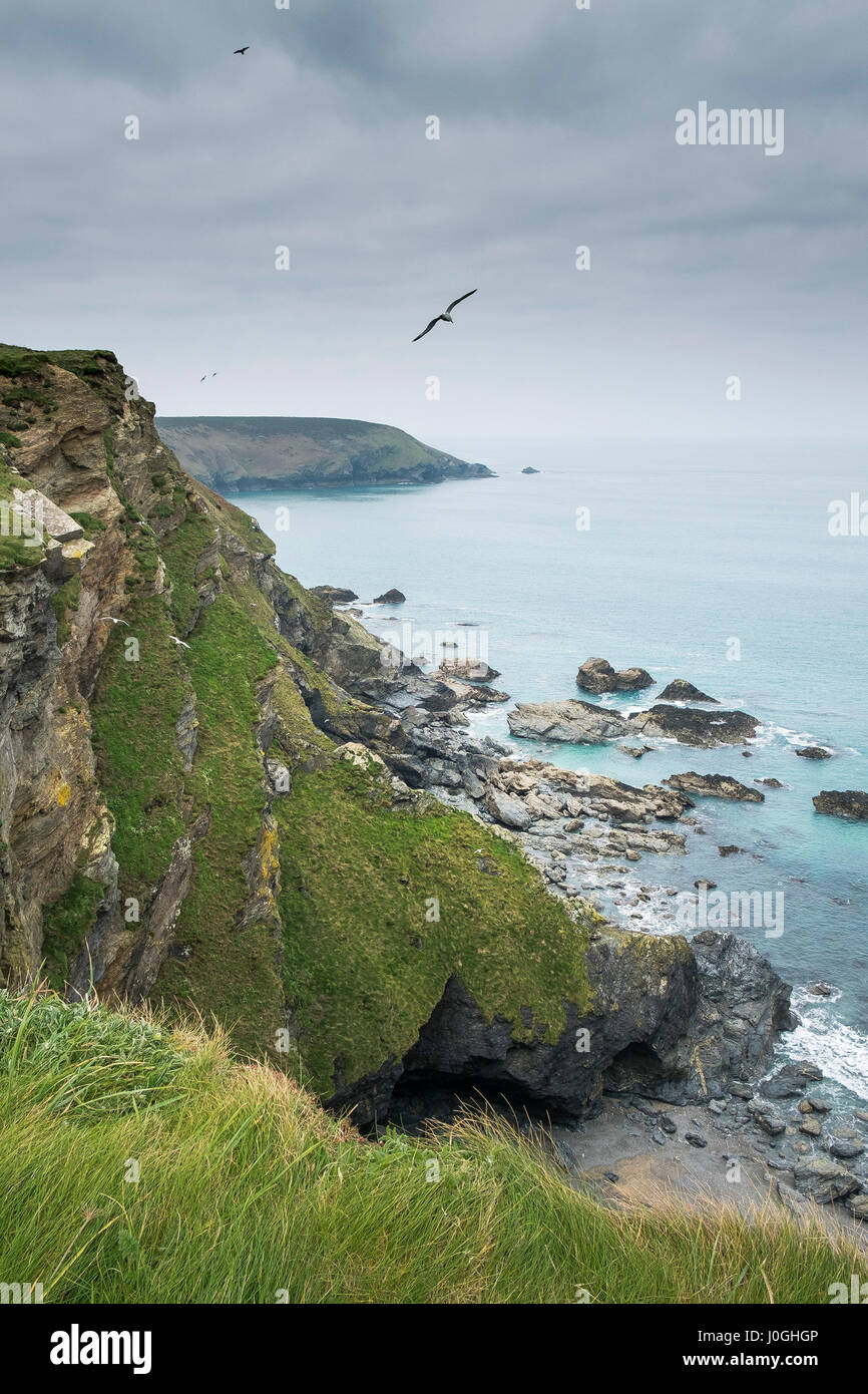 Hells Mouth Cornwall Cliffs Sea Coast Coastal Scene Coastline Rugged Felsen Rocky Navax Point Gefährlich Stockfoto