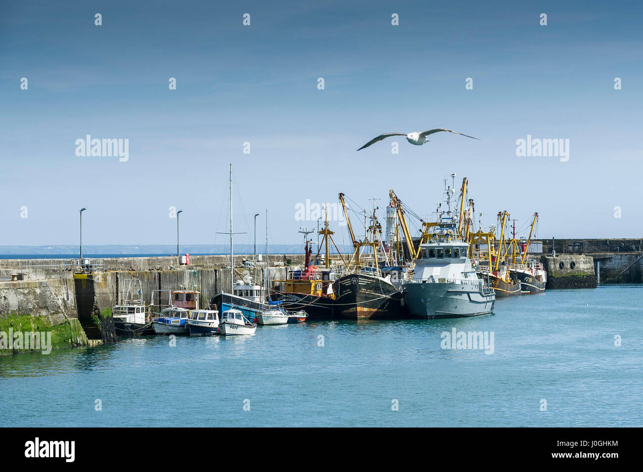 Newlyn Fischerei Hafen Hafen Hafen Seagull Angelboote/Fischerboote Fischereifahrzeuge Tied up Fischwirtschaft Küste Küste Szene Cornwall Stockfoto