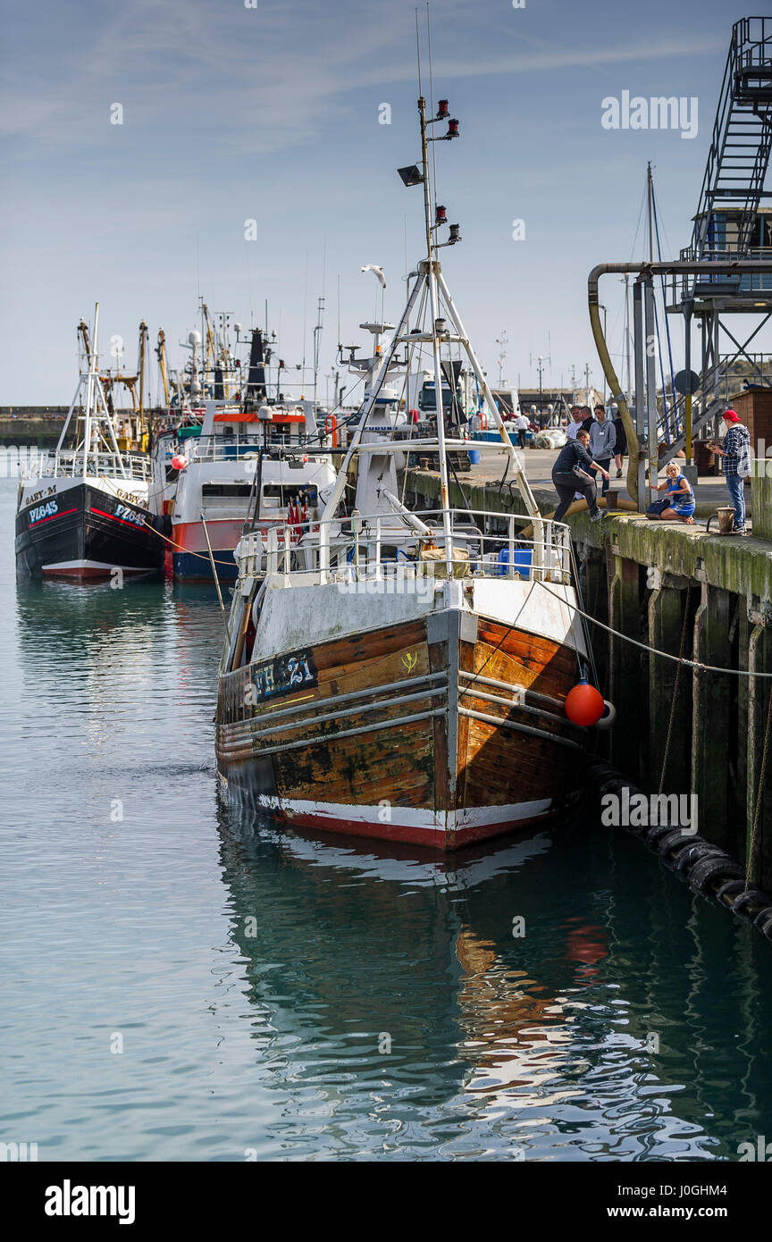 Newlyn Fischereihafen FH 21 gebunden Trawler Hafen Hafen Fischerboot Fischerboote Fischereifahrzeuge Fischereifahrzeuge Industrie Küste Cornwalls Stockfoto