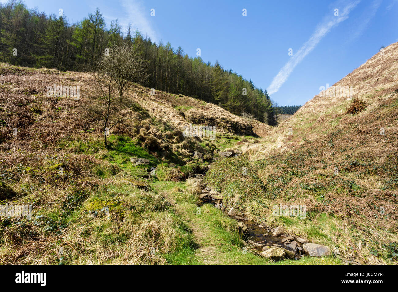 Den Hügeln oberhalb von Blaenclydach im Rhondda Valley, South Wales, Australia Stockfoto