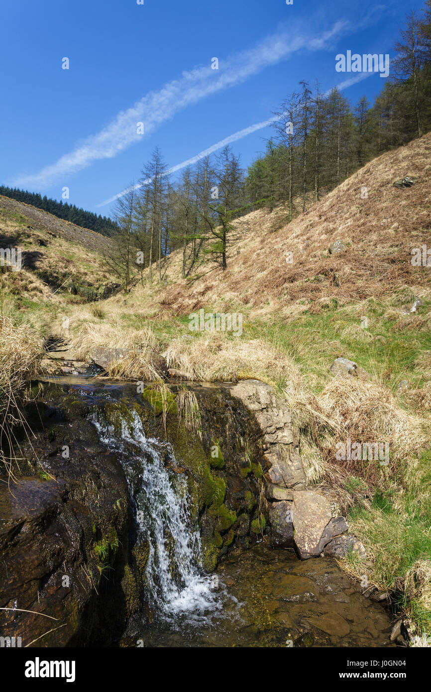 Den Hügeln oberhalb von Blaenclydach im Rhondda Valley, South Wales, Australia Stockfoto