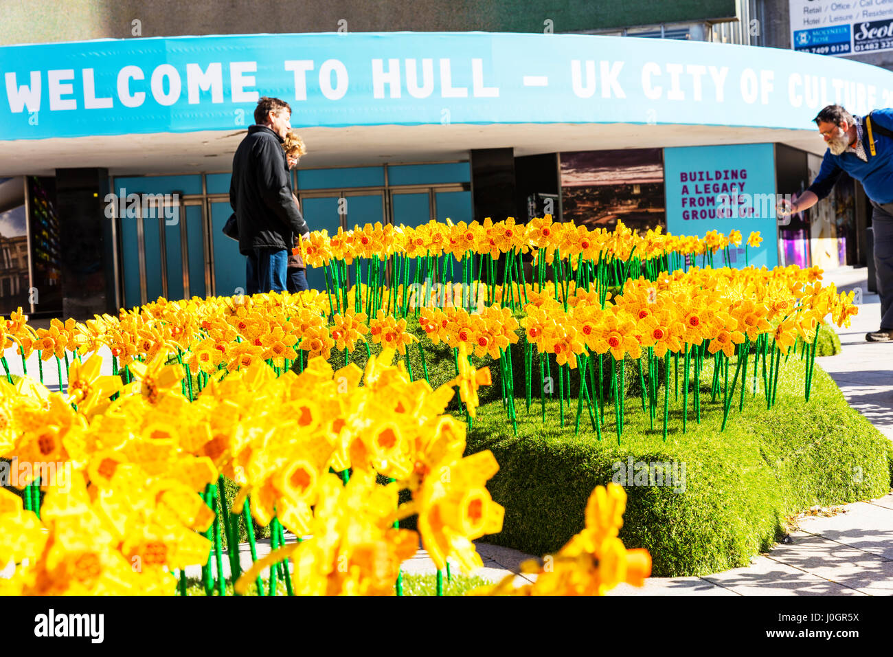 LEGO Narzissen in Hull City Center 1700 Lego Narzisse Blumen Hull City von Kultur Kingston nach Rumpf UK England gelbe Narzissen King Edward Square Stockfoto