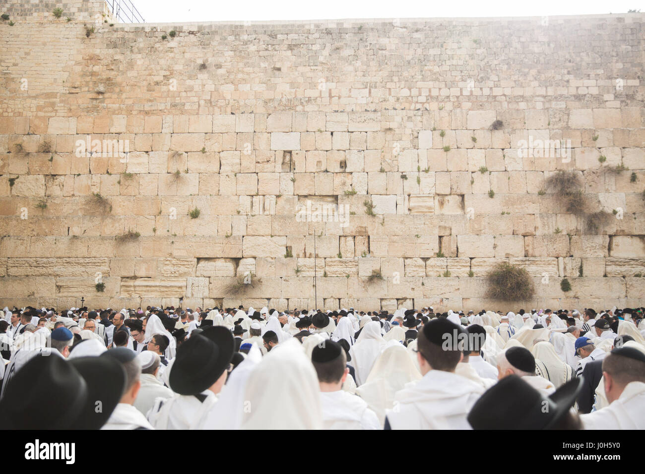 Jerusalem, Israel. 13. April 2017. Jüdischer Feiertag des Pessach-Festes an der Klagemauer in der Jerusalemer Altstadt. 13. April 2017. Orthodoxe Juden besuchen Birkat Kohanim, eine Segenszeremonie während des jüdischen Feiertages des Pessach-Festes an der Klagemauer in der Jerusalemer Altstadt, 13. April 2017. Pascha, ein jüdisches fest, das kennzeichnet den Auszug des jüdischen Volkes aus Ägypten, aus der Knechtschaft in die Freiheit. Bildnachweis: Guo Yu/Xinhua/Alamy Live-Nachrichten Stockfoto