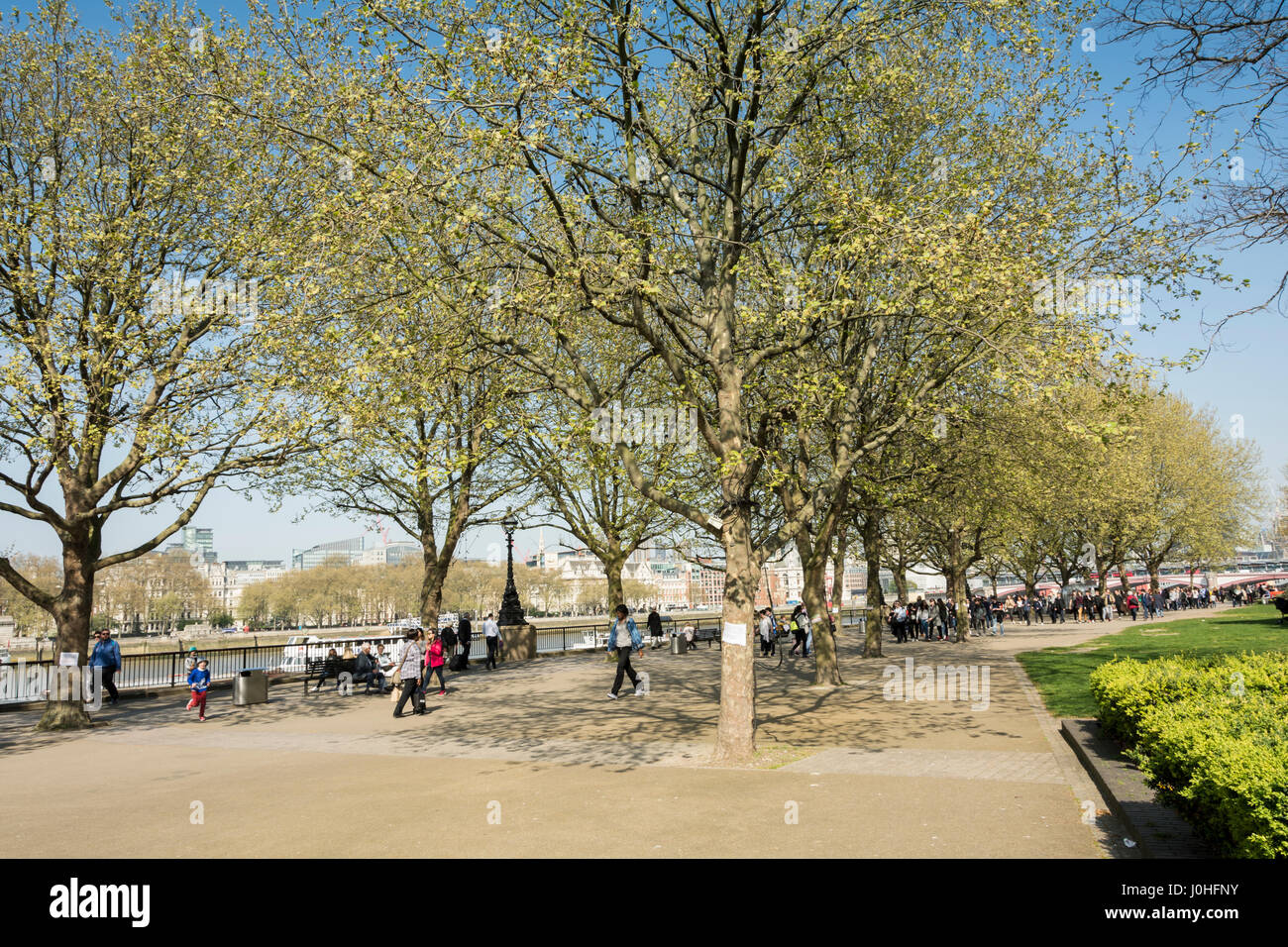 Vorgeschlagene Standort der umstrittenen Garten Brücke an Londons South Bank, Waterloo, Lambeth, UK Stockfoto