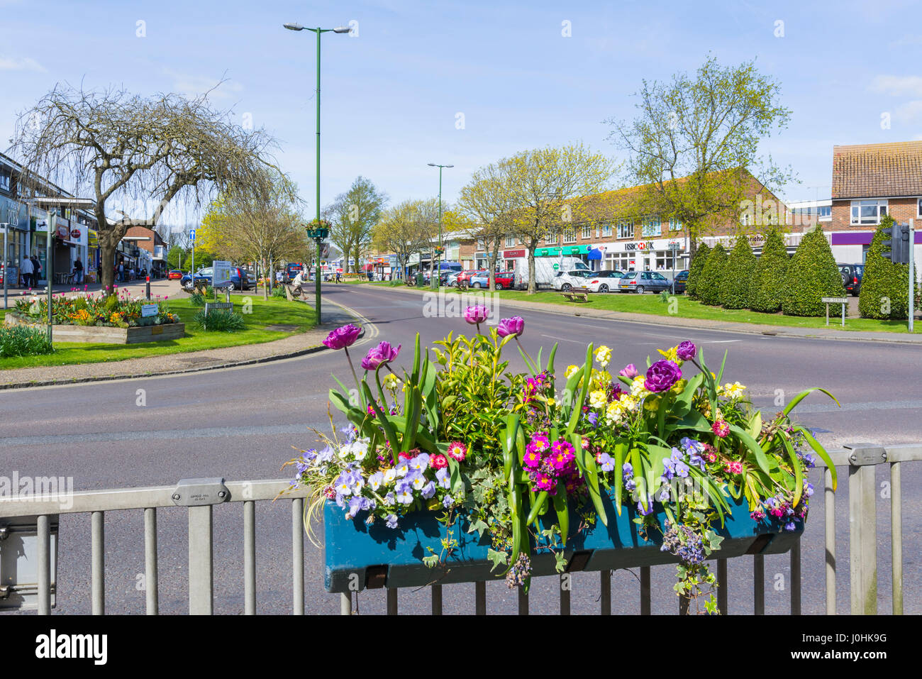 Blumenbeet in einer kleinen Stadt im Süden des Vereinigten Königreichs im Frühjahr. Aufgenommen in Rustington, West Sussex, England, UK. Stockfoto