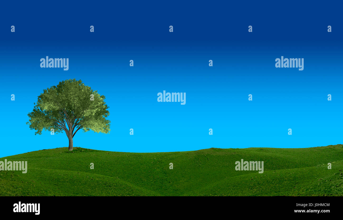 Ein grüner Freiland mit einer Ulme wird eine einfache Ort zum Träumen. Stockfoto