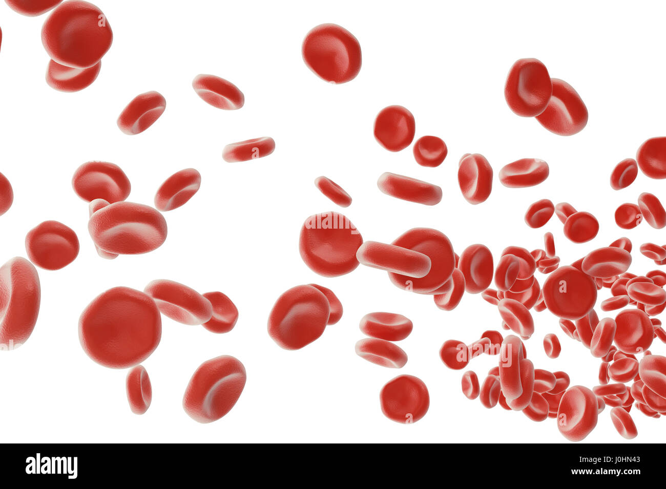Rote Blutkörperchen: für Sauerstoff Übertrag, Verordnung pH Blut, Nahrung und Schutz der Käfige des Organismus verantwortlich. 3D-Rendering isoliert auf weißem Migrationshintergrund Stockfoto