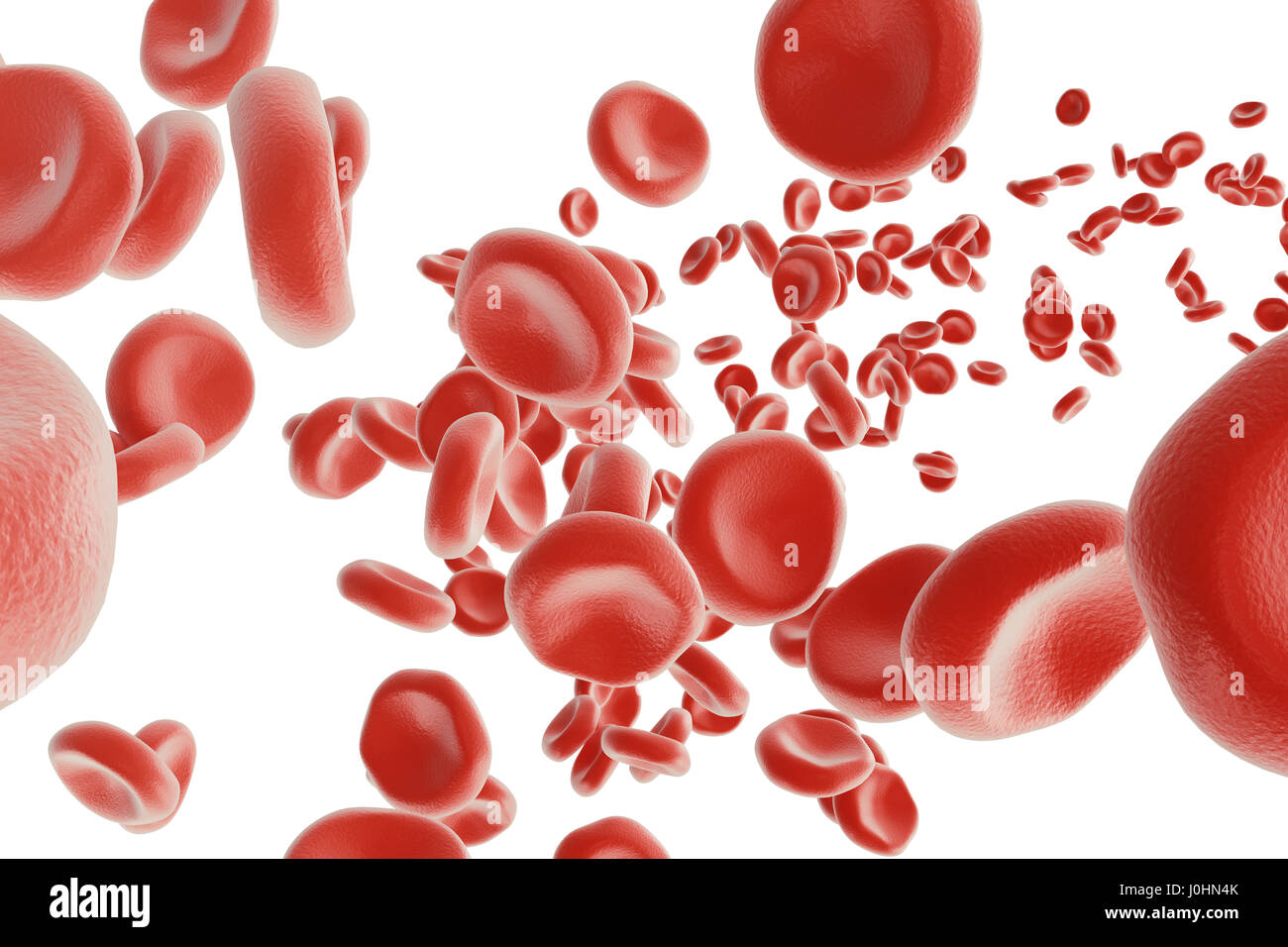 Abstrakte rote Blutkörperchen, wissenschaftliche oder medizinische oder mikrobiologische Konzept, 3D-Rendering isoliert auf weißem Hintergrund Stockfoto