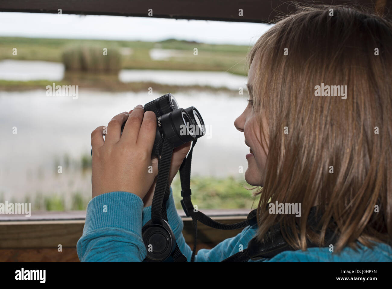 Junges Mädchen (10 Jahre) Vogelbeobachtung am Minsmere RSPB Reserve Sommer (Modell freigegeben) Stockfoto