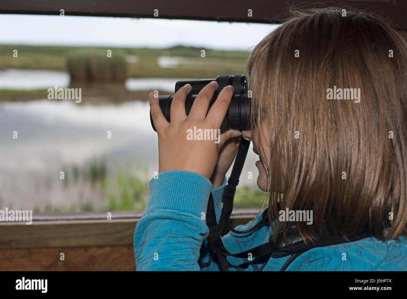 Junges Mädchen (10 Jahre) Vogelbeobachtung am Minsmere RSPB Reserve Sommer (Modell freigegeben) Stockfoto