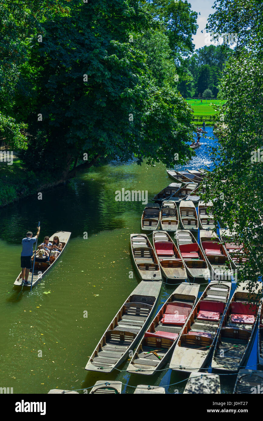 Bootfahren auf dem Fluss Cherwell angesehen von Magdalen Bridge in Oxford, Großbritannien. Stockfoto
