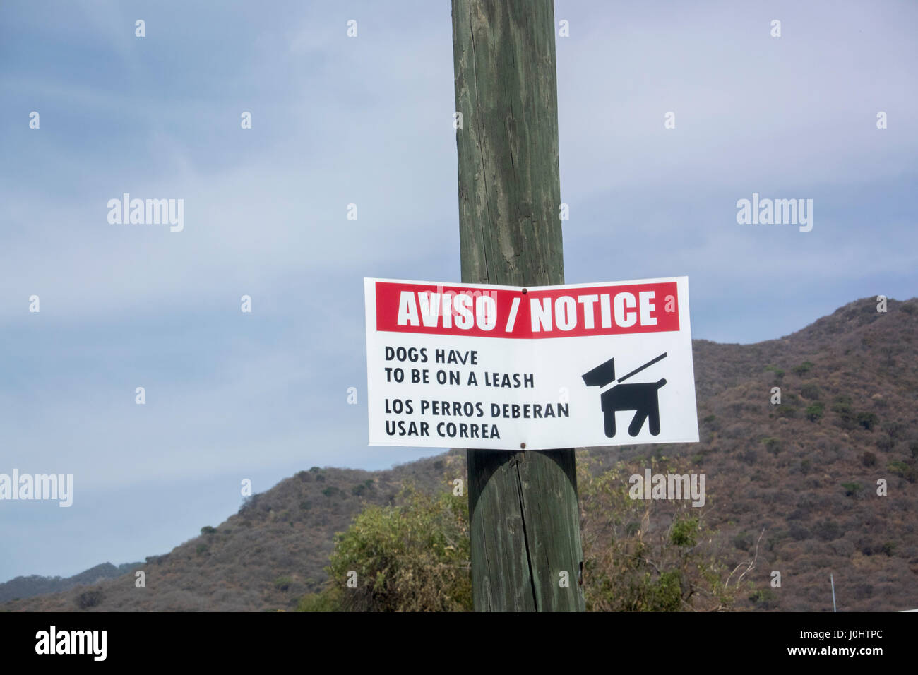 Hunde an der Leine bemerken, in Spanisch und Englisch, Las Brisses, Jalisco, Mexiko Stockfoto
