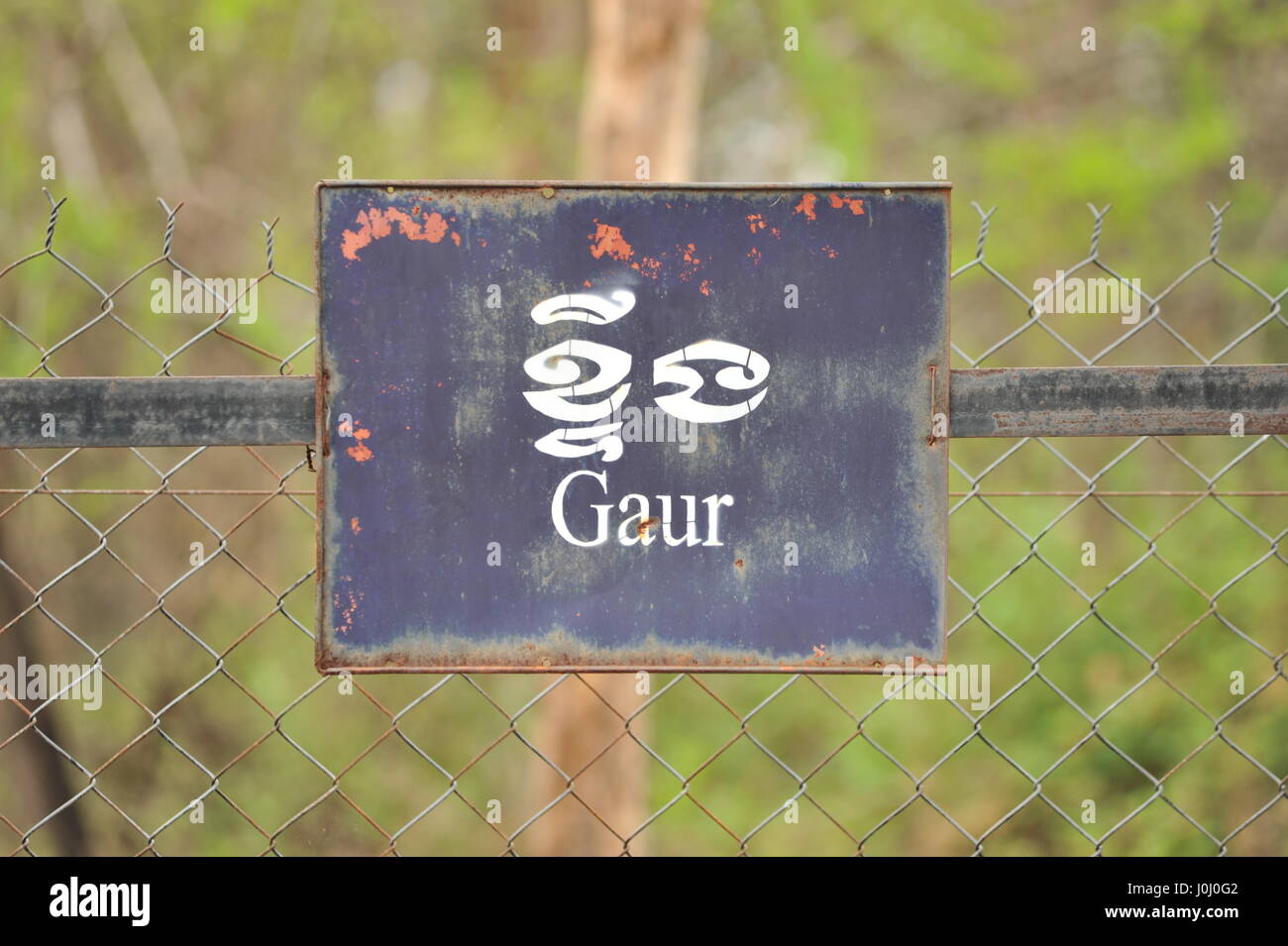 alten verwitterten zweisprachige "Gaur" Schild Phnom Tamao Wildlife Rescue Center, Takeo Province, Kambodscha. Kredit: Kraig Lieb Stockfoto