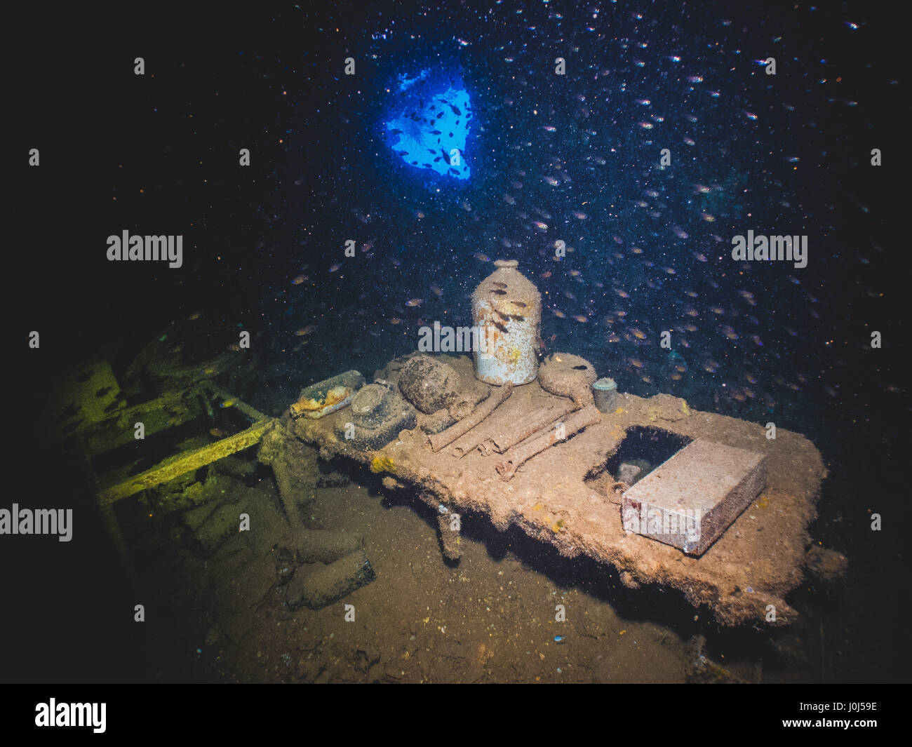 Weno, Mikronesien. 17. Februar 2016. Tauchen Bilder von Korallen, Halcyons und Fische über die 'Operation Hailstone"WWII Wracks in der wahren Lagune, Mikronesien Credit: Alessandro Bosio/Pacific Press/Alamy Live News Stockfoto