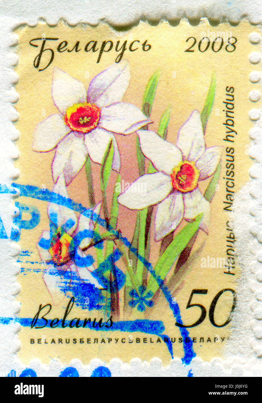 GOMEL, WEIßRUSSLAND, 11. APRIL 2017. Briefmarke gedruckt in Belarus zeigt Bild von The Narcissus Hybridus, circa 2008. Stockfoto