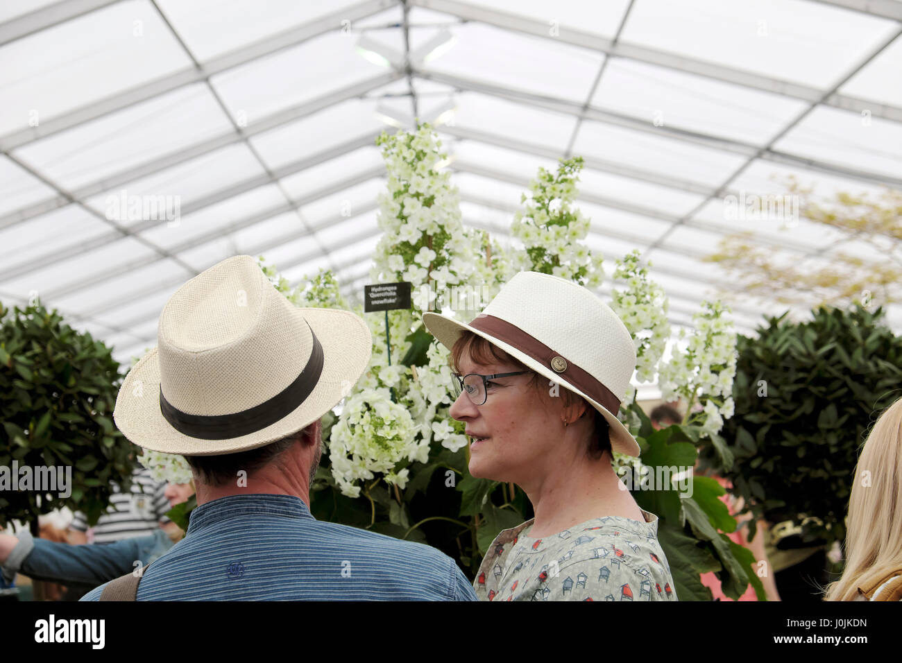 RHS Flower Show Cardiff Besucher Paar tragen Sommer Strohhüte im Werk Anzeige im Festzelt auf Bute Park Gärten Wales UK KATHY DEWITT Stockfoto