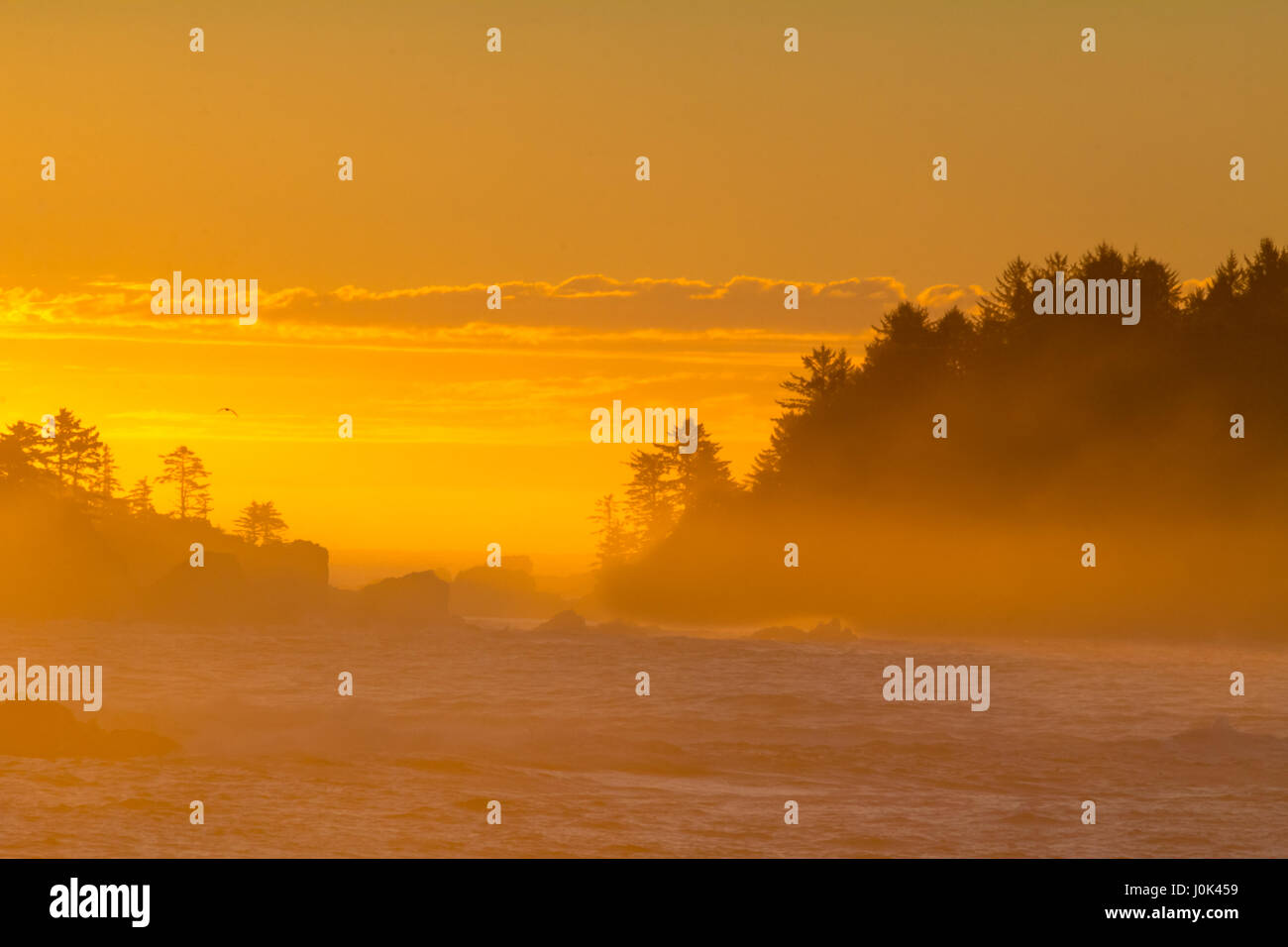 Goregous orange Sun - Aufstieg auf den nebligen Westküste von Vancouver Island Stockfoto