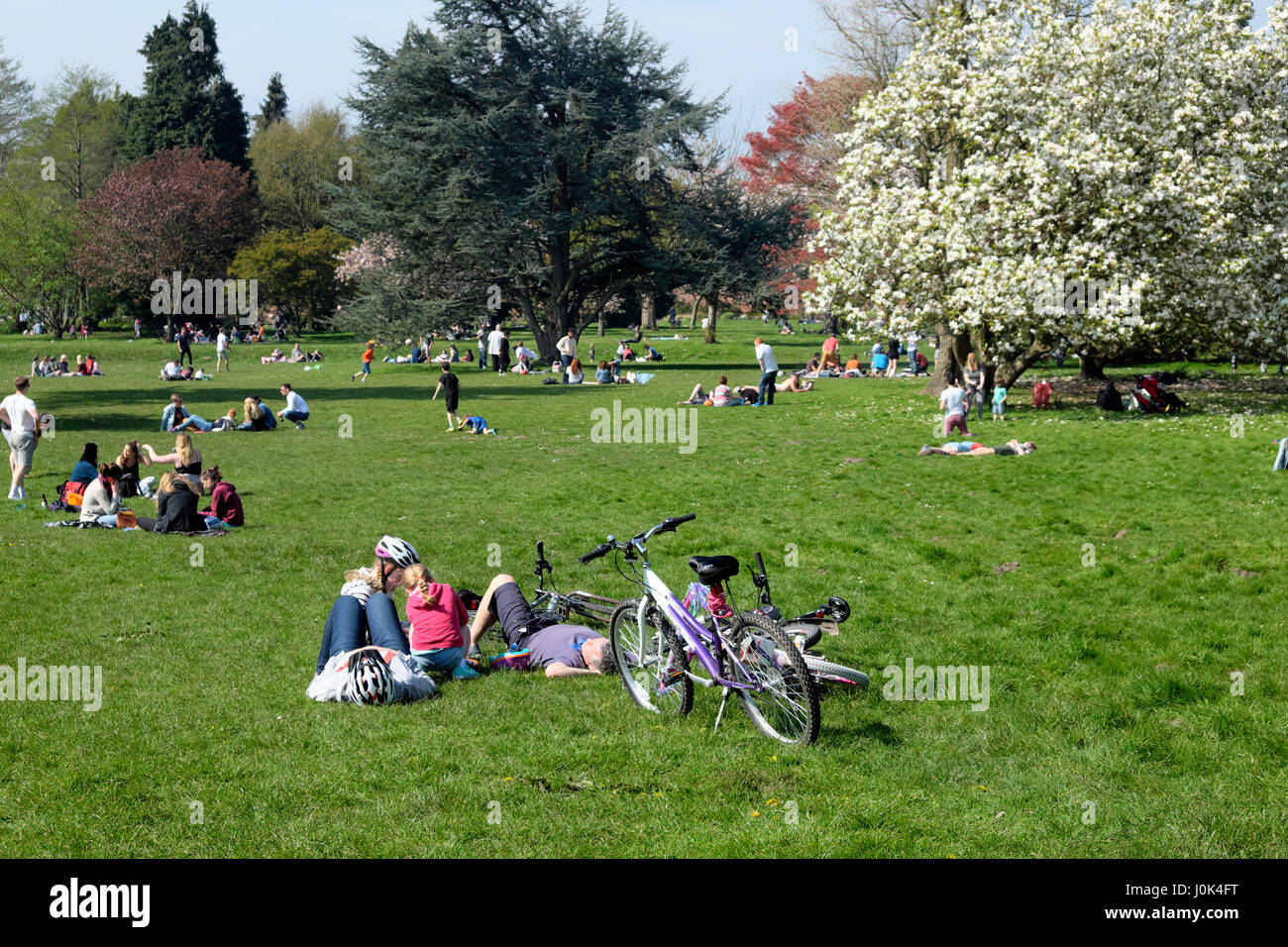 Menschen-Familie mit Fahrrädern liegend an einem sonnigen Sonntag genießen Frühlingswetter im Bute Park, Cardiff Wales UK KATHY DEWITT Stockfoto