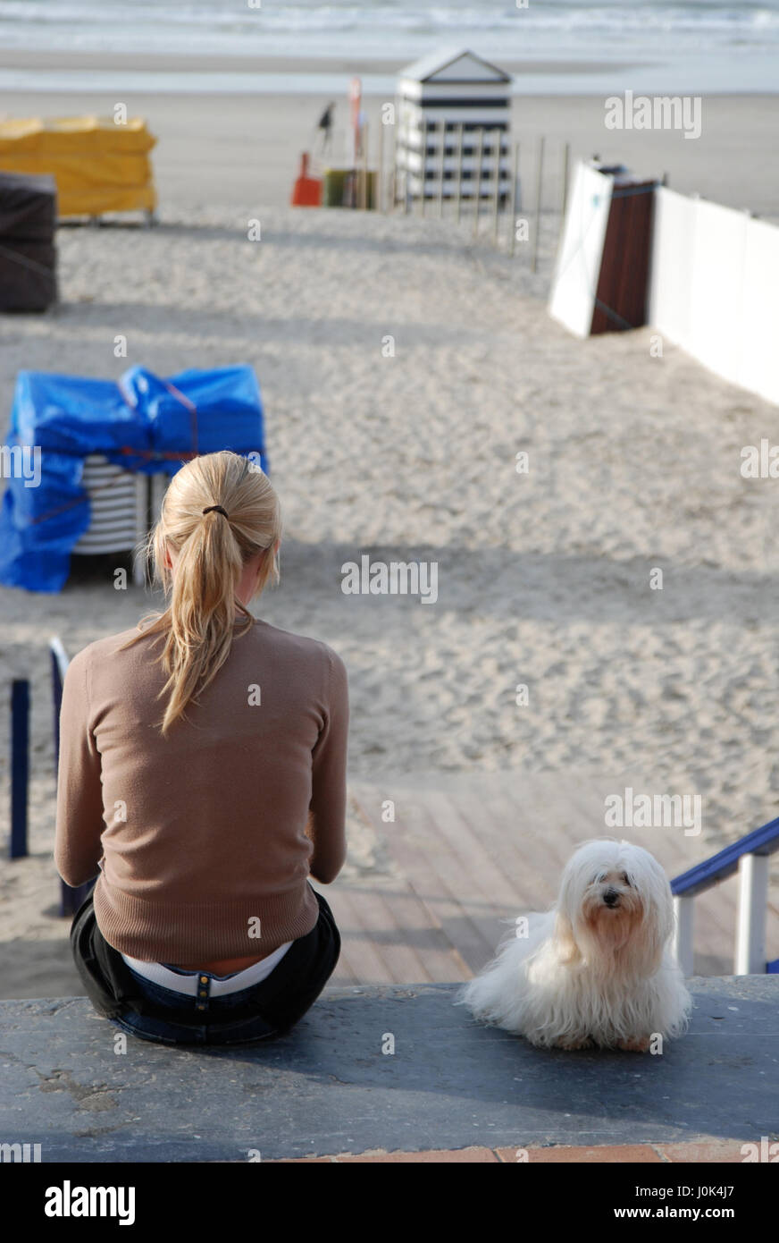 Blonde Frau mit Pferdeschwanz sitzen an der Strandpromenade von Blankenberge  mit ihrem kleinen Hund im Sommer Stockfotografie - Alamy