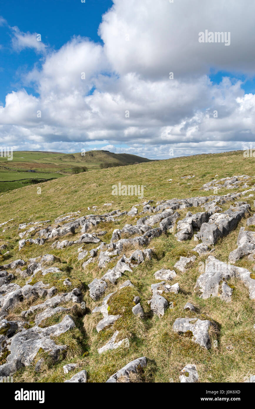 Bereich der Kalkstein Pflaster in der Nähe von Earl Sterndale, Buxton, Derbyshire, einem schönen Naturgebiet des Peak District National Park. Stockfoto