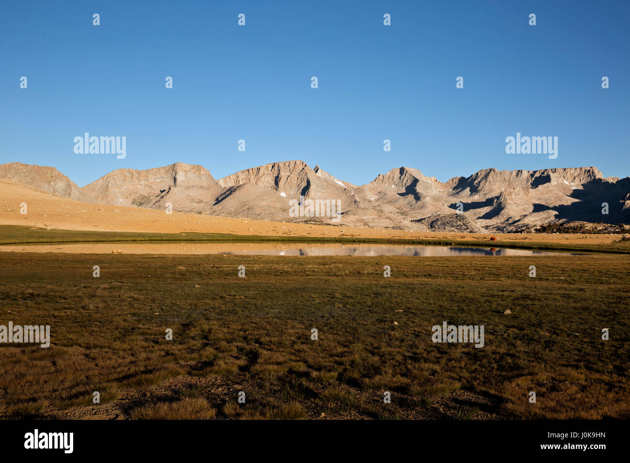 CA03218-00... Kalifornien - befindet sich am frühen Morgen auf dem Big Horn Plateau entlang der kombinierten PCT/JMT im Sequoia National Park. Stockfoto