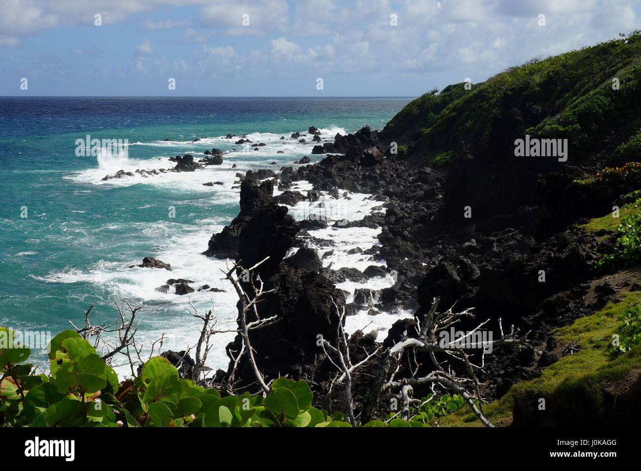 Schwarzfelsklan Naturlandschaft, seine, St. Kitts und Nevis. Stockfoto