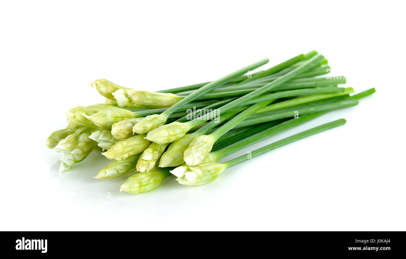 Schnittlauch Blüte oder chinesischer Schnittlauch isoliert auf weißem Hintergrund. Stockfoto