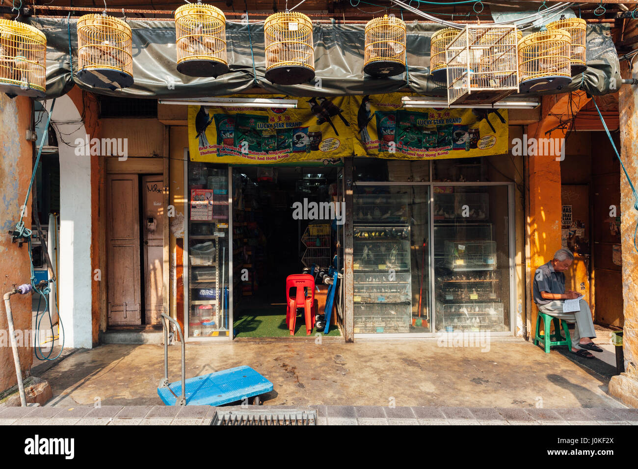 Kuala Lumpur, Malaysia - 17. März 2016: Vögel Verkäufer sitzt vor seinem Geschäft in Chinatown, Kuala Lumpur, Malaysia am 17. März 2016. Stockfoto