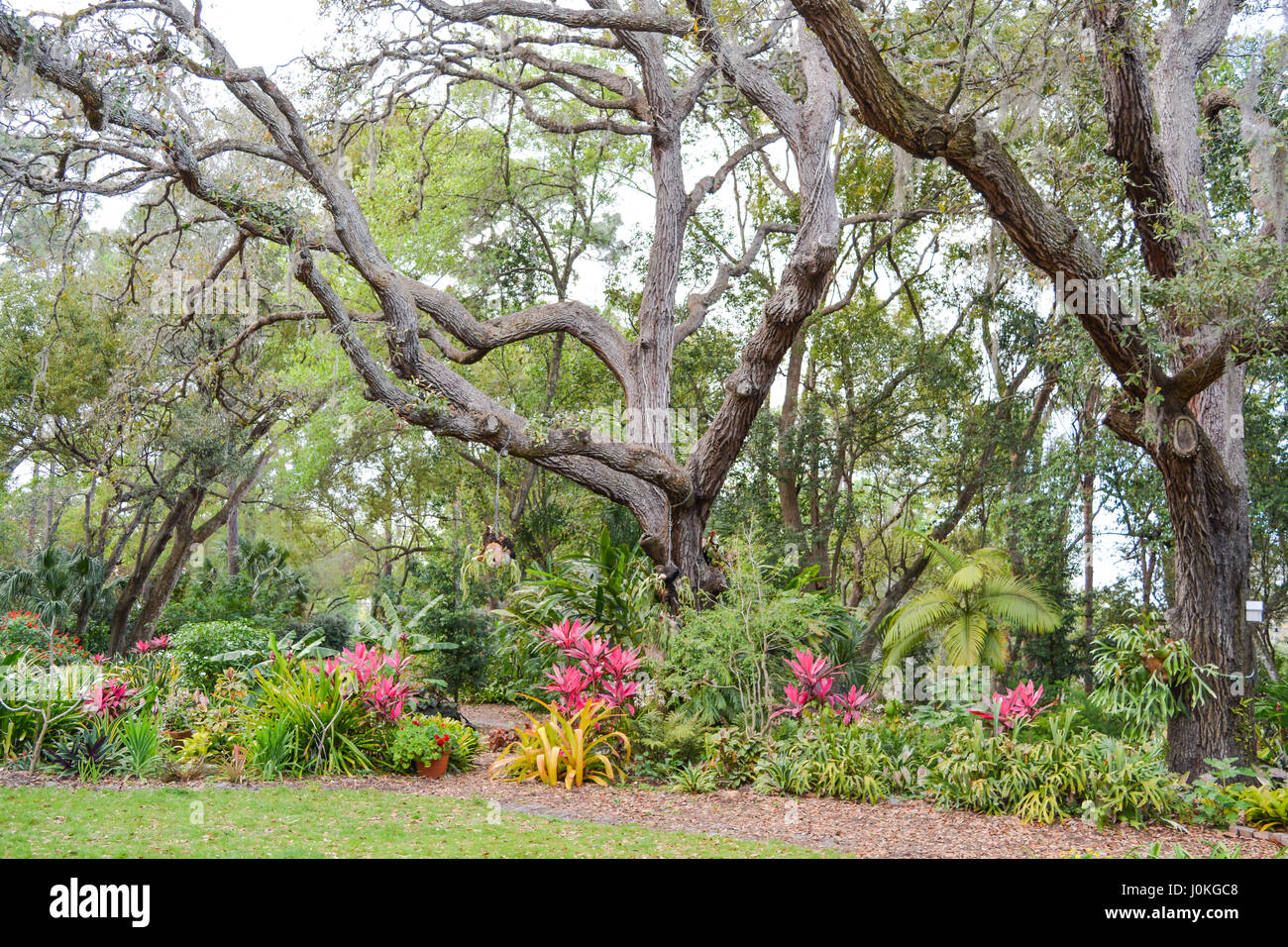 Ein schöner Garten und Landschaft in den Mead botanischen Gärten in Winter Park, Orlando, Orange County, Florida. Stockfoto