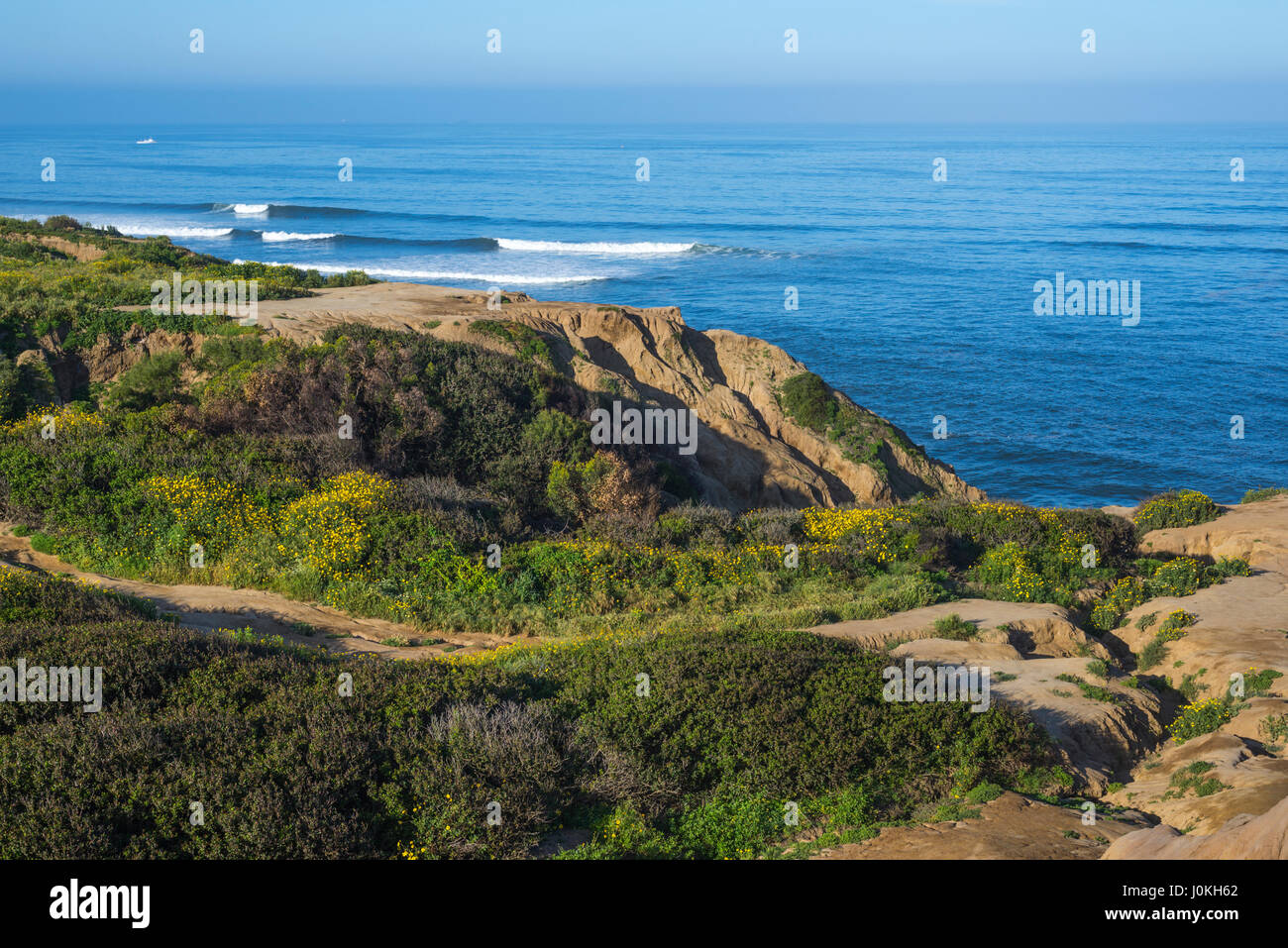 Blick hinunter auf den Pazifischen Ozean und und Wildblumen am Sunset Cliffs Natural Park in San Diego, Kalifornien. Stockfoto