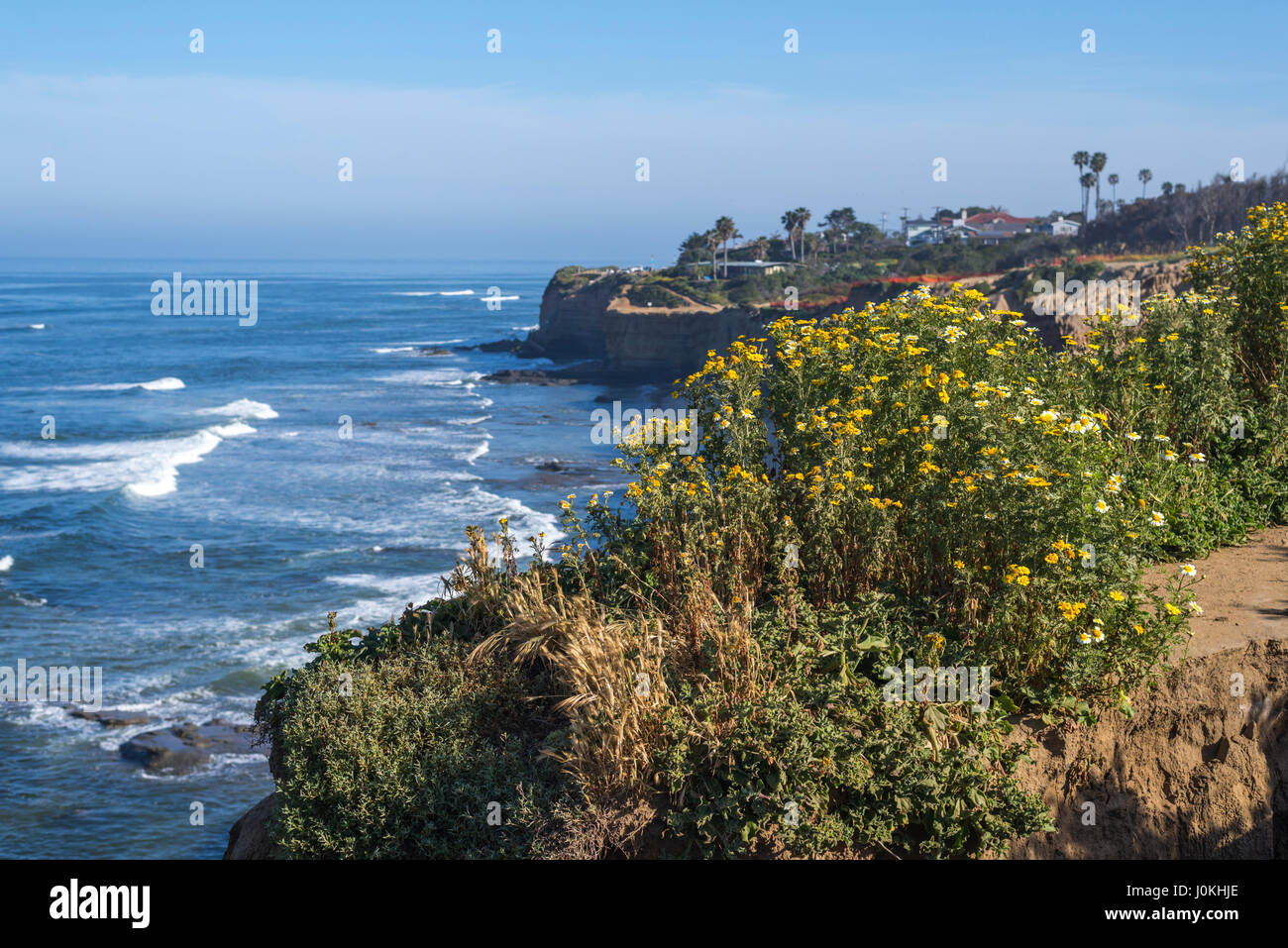 Blick hinunter auf den Pazifischen Ozean und und Wildblumen am Sunset Cliffs Natural Park in San Diego, Kalifornien. Stockfoto