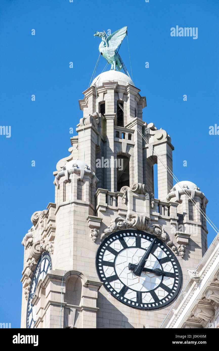 Royal Liver Building, Liver Birds, Uhr, St Georges kennzeichnen, Liverpool, Merseyside, England, UNESCO, Weltkulturerbe-Stadt, Stadt, Nord, Nord, England, Englisch, UK. Stockfoto