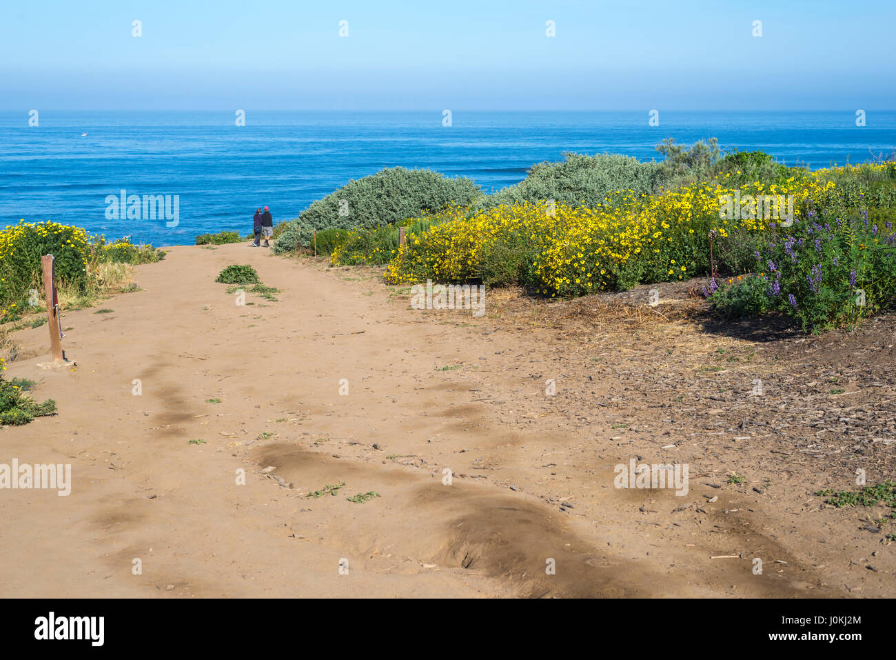 Blick hinunter auf den Pazifischen Ozean und und Wildblumen am Sunset Cliffs Natural Park in San Diego, Kalifornien. Stockfoto