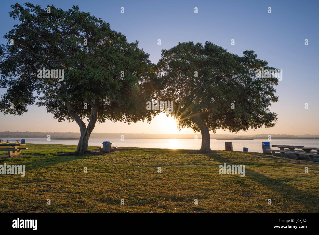 Am frühen Morgen bei Krone Ufer Point Park mit Blick auf Mission Bay im Hintergrund. San Diego, Kalifornien, USA. Stockfoto