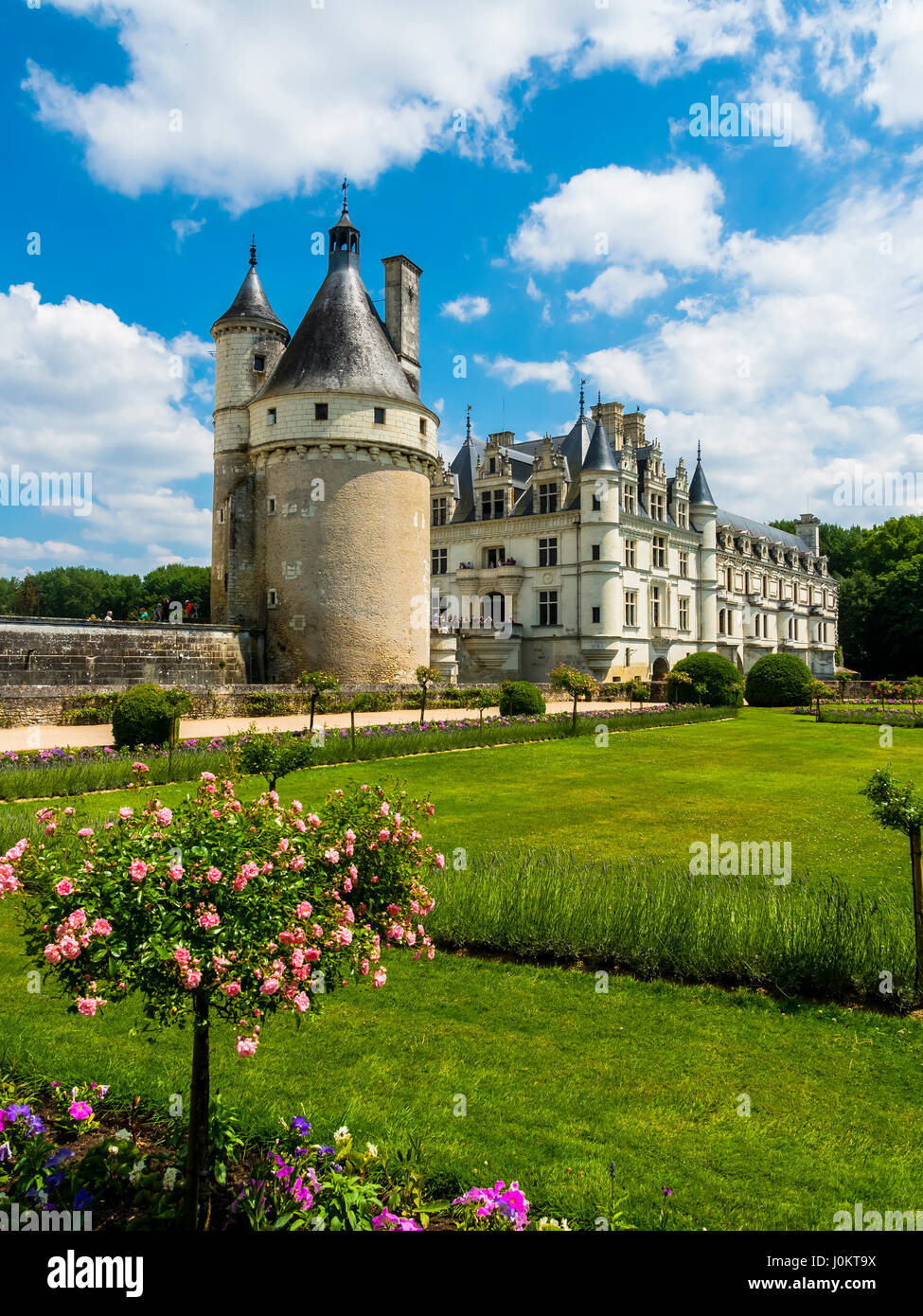 Schloss Chenonceau auf dem Cher, Château de Chenonceau, Abteilung Chenonceaux, Indre-et-Loire, Mittelbereich, Frankreich Stockfoto