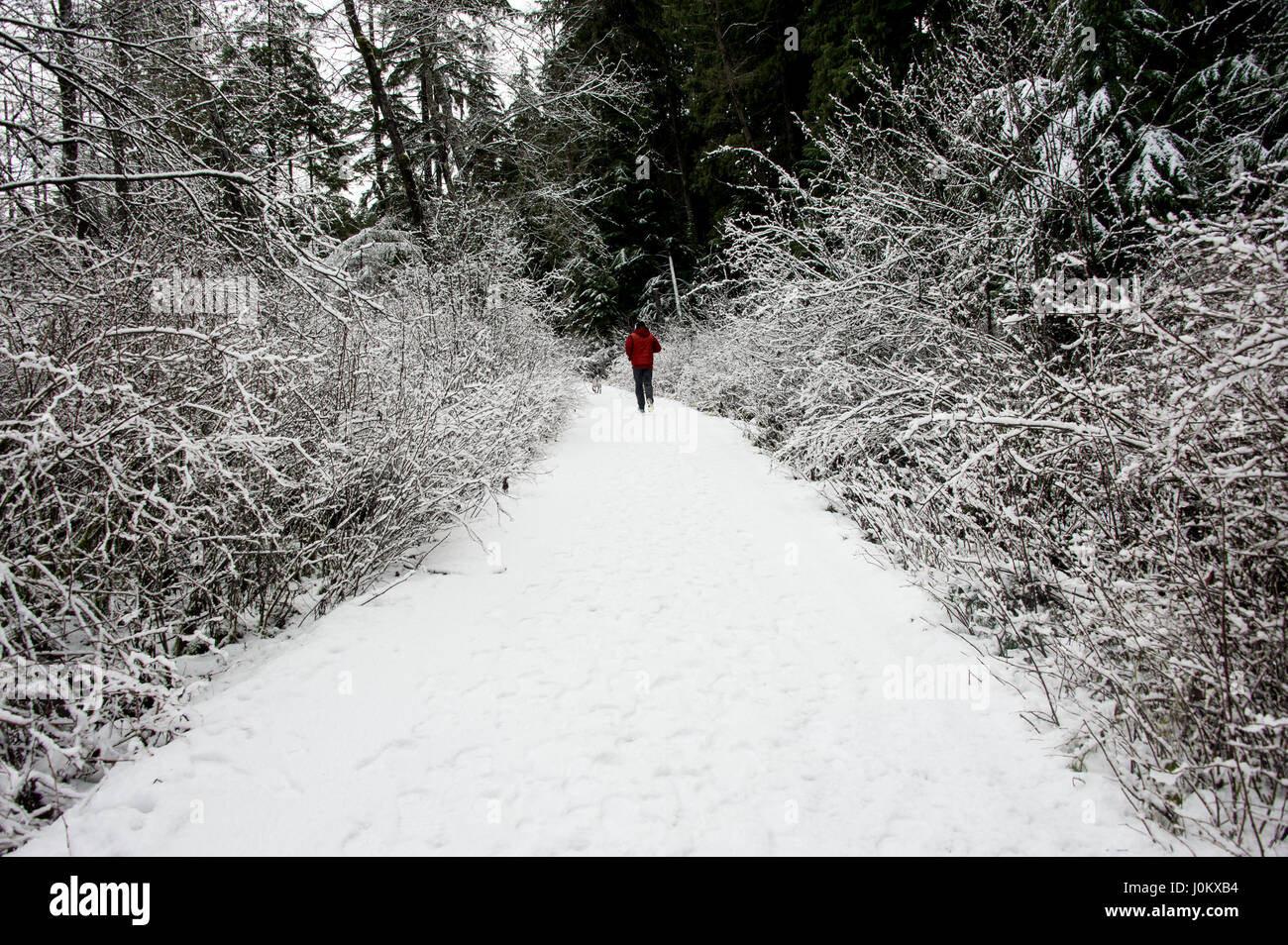 Eine entfernte Figur auf einem ländlichen Weg wandern, im Winter mit Schnee Stockfoto