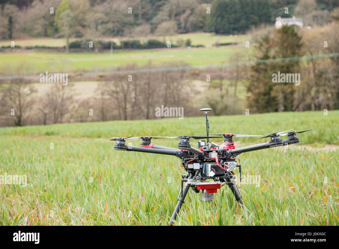 Drone in der Landwirtschaft verwendet wird. Stockfoto